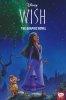 DISNEY WISH GN [9780736444354]